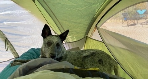 Camping Dec 2020